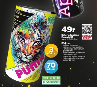Netto Fajerwerki wyrzutnia oferta