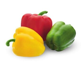 Makro Papryka oferta