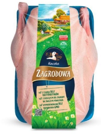 Makro Kaczka drosed oferta