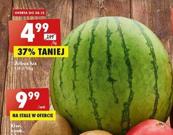 Biedronka Arbuz luz 1kg oferta