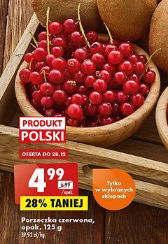 Biedronka Porzeczka czerwona oferta