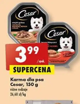 Biedronka Cesar Karma dla psa, 150g różne rodzaje oferta