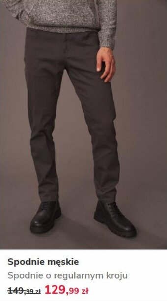 Carry Spodnie męskie o regularnym kroju oferta