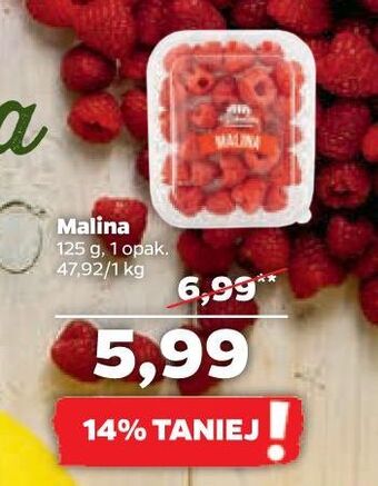 Netto Maliny oferta