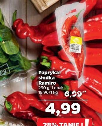 Netto Papryka ramiro oferta