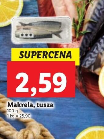 Lidl Makrela tusza oferta