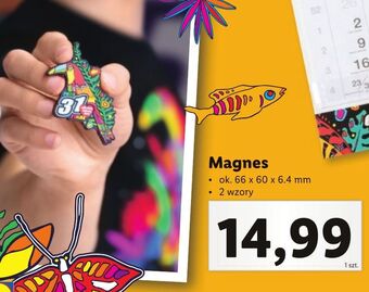 Lidl Magnes wośp oferta