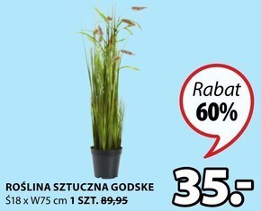 JYSK Sztuczna roślina oferta