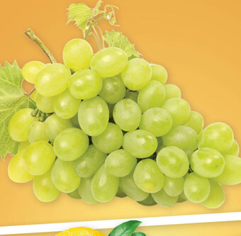 Gram Market Winogrona oferta