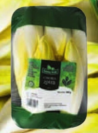 Netto Cykoria oferta