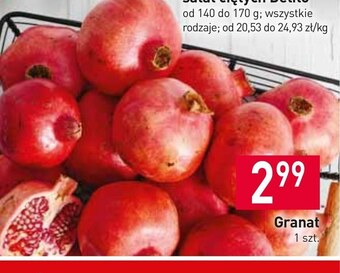 Stokrotka Market Granat oferta
