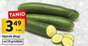 Intermarche Ogórek oferta