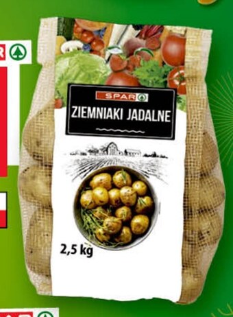 EuroSPAR Ziemniaki oferta