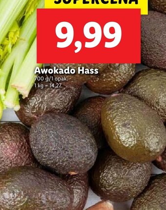 Lidl Awokado oferta