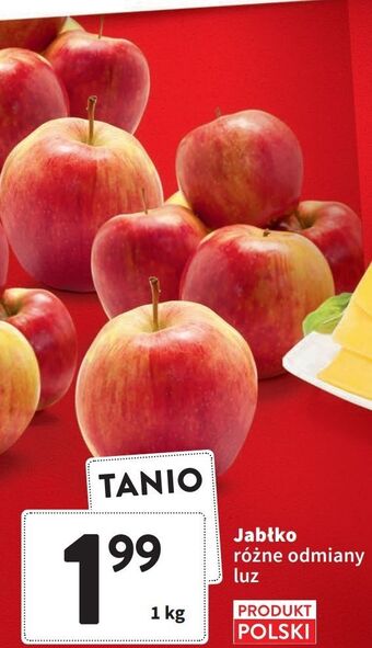 Intermarche Jabłka oferta