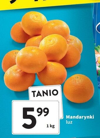 Intermarche Mandarynki oferta