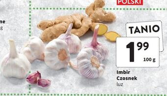 Intermarche Imbir oferta