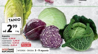 Intermarche Kapusta włoska oferta