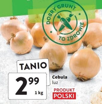 Intermarche Cebula oferta