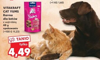 Kaufland Karma dla kota cat yums z wątróbką vitakraft oferta