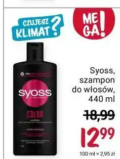 Rossmann Szampon do włosów farbowanych tsubaki blossom syoss color oferta