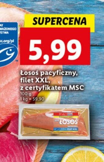 Lidl Łosoś pacyficzny tusza abramczyk oferta