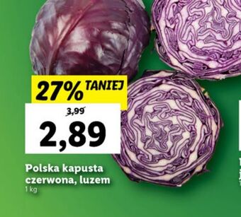 Lidl Kapusta czerwona oferta