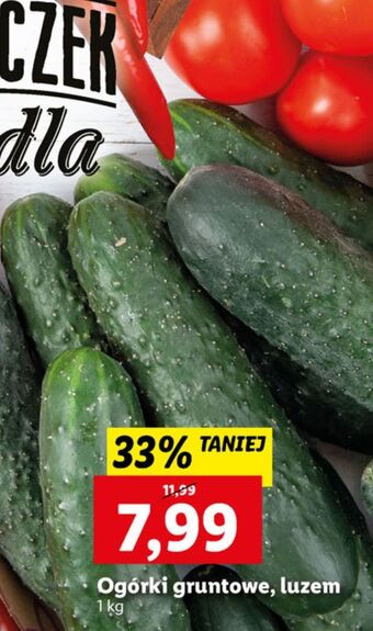 Lidl Ogórki gruntowe oferta