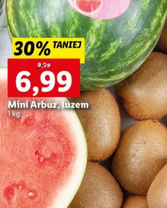Lidl Arbuz mini oferta