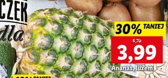 Lidl Ananas oferta