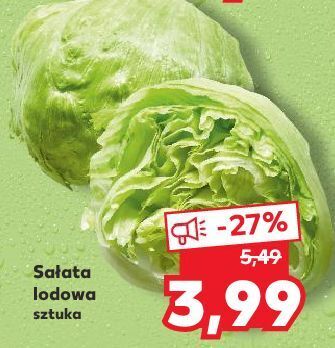 Kaufland Sałata lodowa oferta
