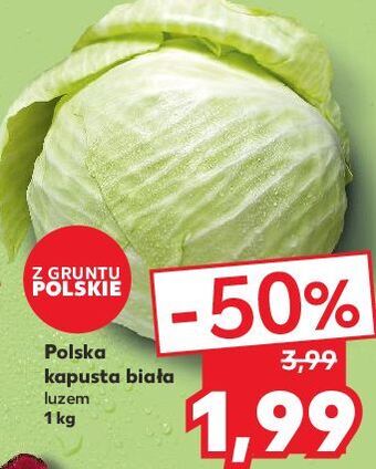Kaufland Kapusta biała oferta