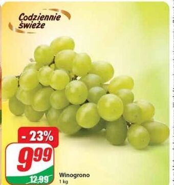 Dino Winogrona jasne oferta
