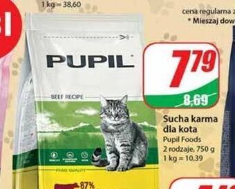 Dino Karma dla kota z wołowina pupil oferta