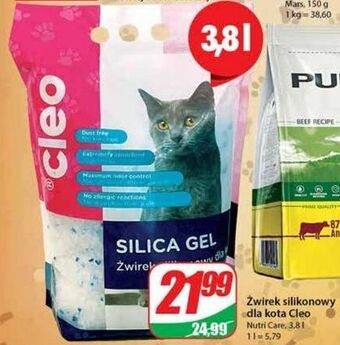 Dino Żwirek silikonowy dla kota cleo oferta