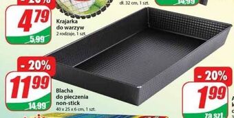Dino Blacha do pieczenia 40 x 25 6 cm oferta