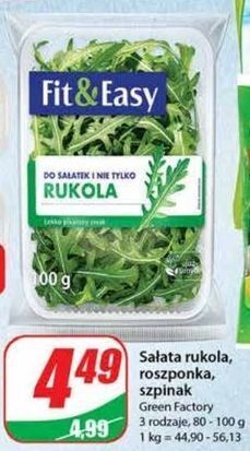 Dino Sałata roszponka fit & easy oferta