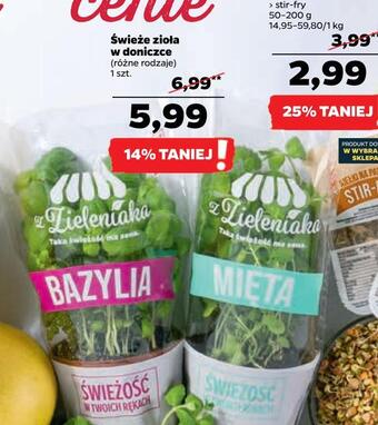 Netto Świeże zioła w doniczce oferta