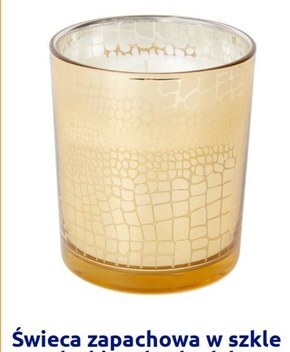 Action Świeca zapachowa oferta