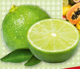 Selgros Limonka oferta