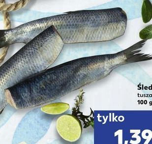 Kaufland Śledz tusza oferta