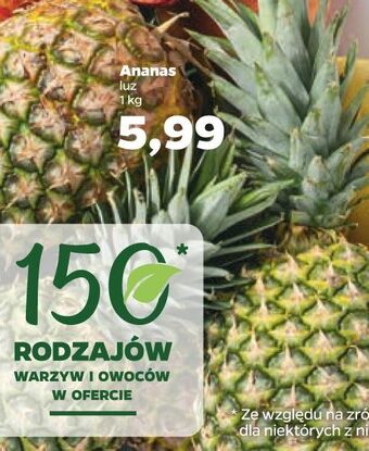 Netto Ananas oferta