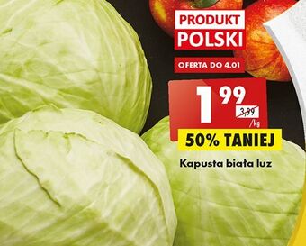 Biedronka Kapusta biała oferta