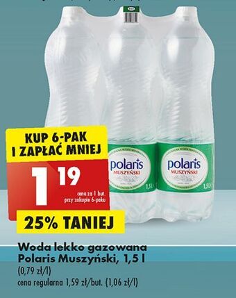 Biedronka Woda gazowana polaris oferta