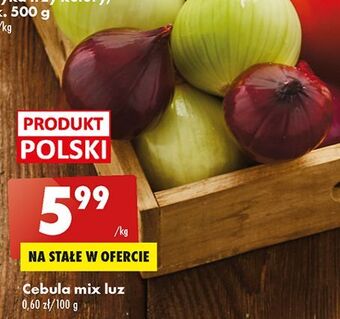 Biedronka Cebula mix oferta