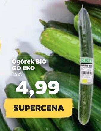 Netto Ogórek bio go eko oferta