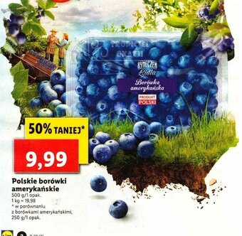 Lidl Polskie borówki amerykańskie 500g oferta