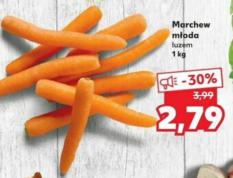 Kaufland Marchew młoda oferta