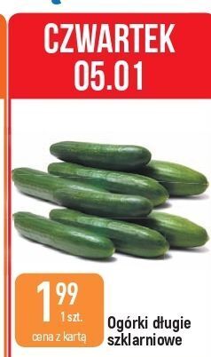 E.Leclerc Ogórek szklarniowy oferta