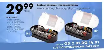 Biedronka Żarówki h4 oferta